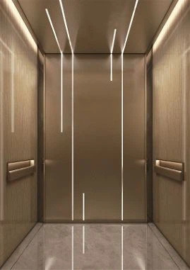 1000kg Building Passenger Elevators